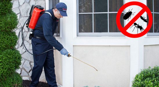 Doğanşar Böcek ve Haşere İlaçlama böcek ilaçlama ve haşere kontrolü — ilaclama-tr.com